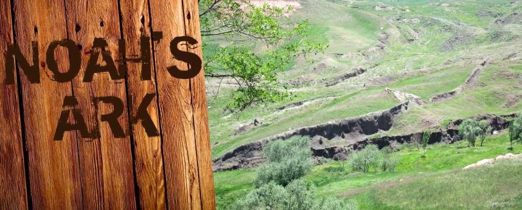 Home True Discoveries